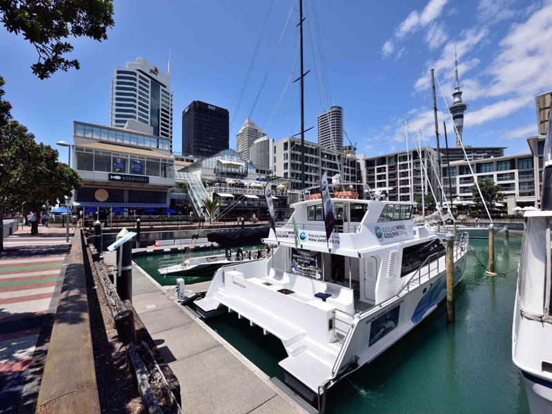 Furnished Apartment In Auckland Cbd Esterno foto